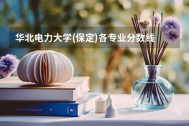 华北电力大学(保定)各专业分数线 华北电力大学王牌专业分数线