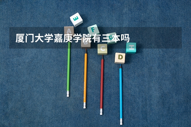 厦门大学嘉庚学院有三本吗