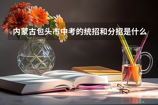 内蒙古包头市中考的统招和分招是什么意思？