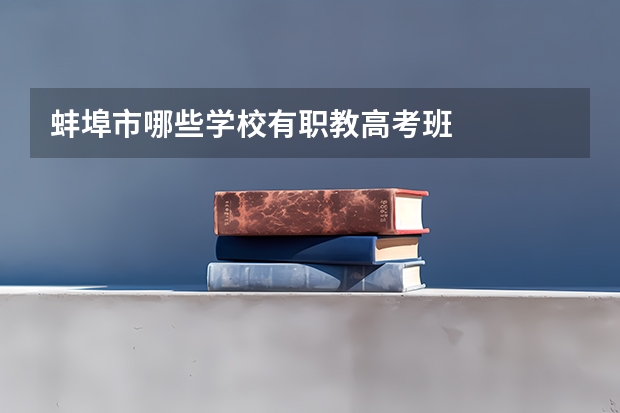 蚌埠市哪些学校有职教高考班