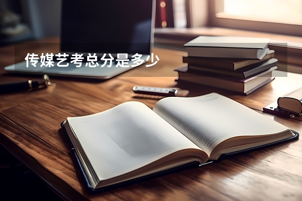 传媒艺考总分是多少