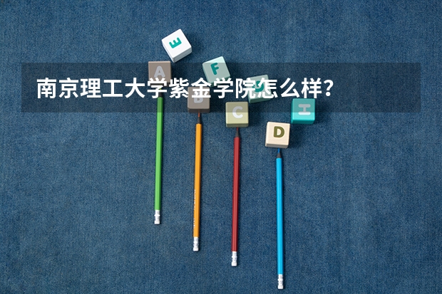 南京理工大学紫金学院怎么样？