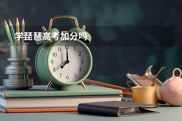 学琵琶高考加分吗