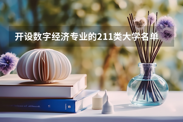开设数字经济专业的211类大学名单
