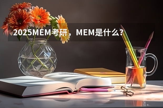 2025MEM考研,MEM是什么?它的含金量到底有多高?值不值得考?