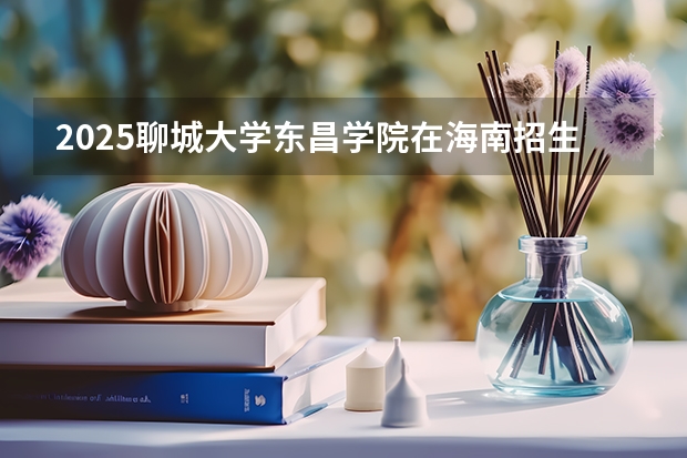 2025聊城大学东昌学院在海南招生计划预测