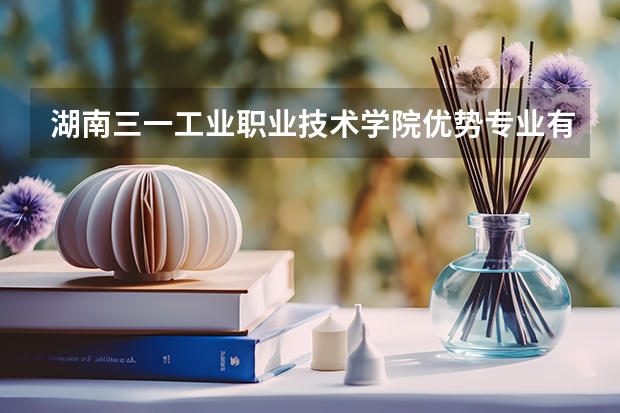 湖南三一工业职业技术学院优势专业有哪些 湖南三一工业职业技术学院专业排名