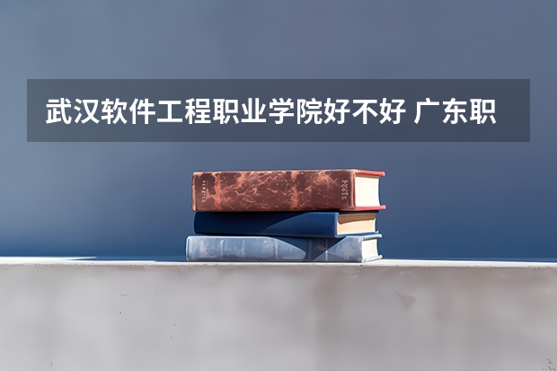 武汉软件工程职业学院好不好 广东职业技术学院排名