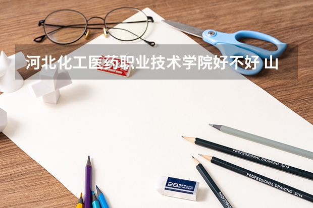 河北化工医药职业技术学院好不好 山东职业技术学院排名