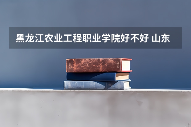 黑龙江农业工程职业学院好不好 山东职业技术学院排名