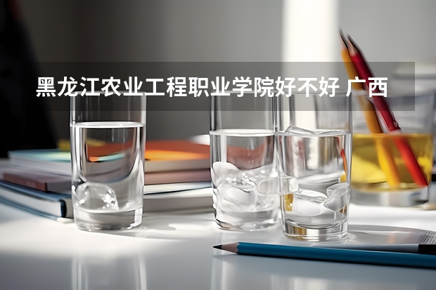黑龙江农业工程职业学院好不好 广西职业技术学院排名