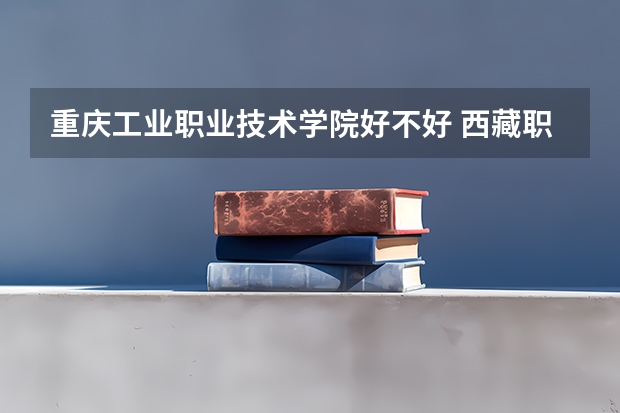 重庆工业职业技术学院好不好 西藏职业技术学院排名