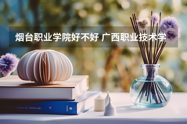 烟台职业学院好不好 广西职业技术学院排名