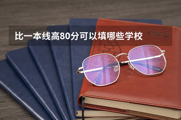 比一本线高80分可以填哪些学校