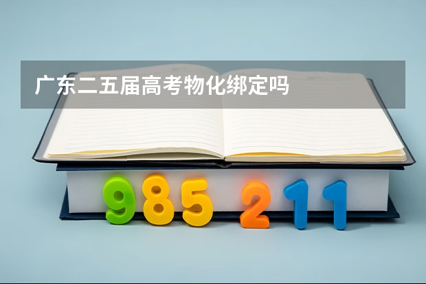 广东二五届高考物化绑定吗