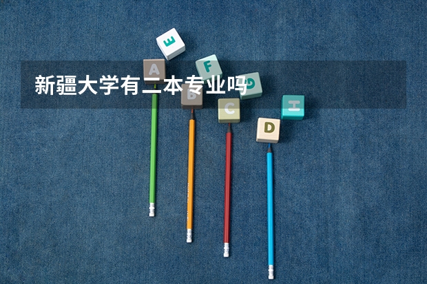 新疆大学有二本专业吗