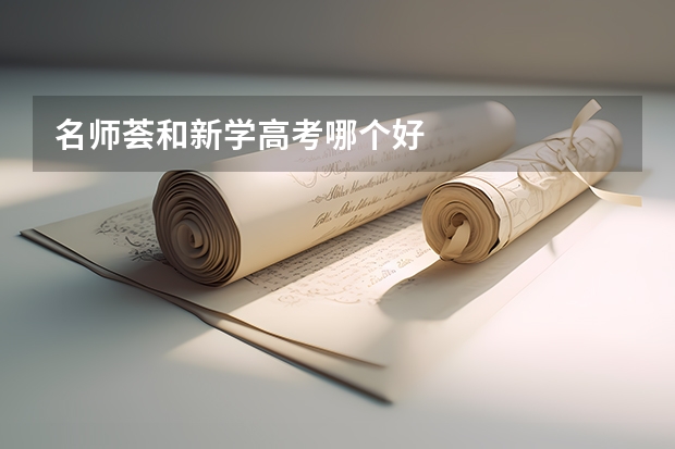 名师荟和新学高考哪个好