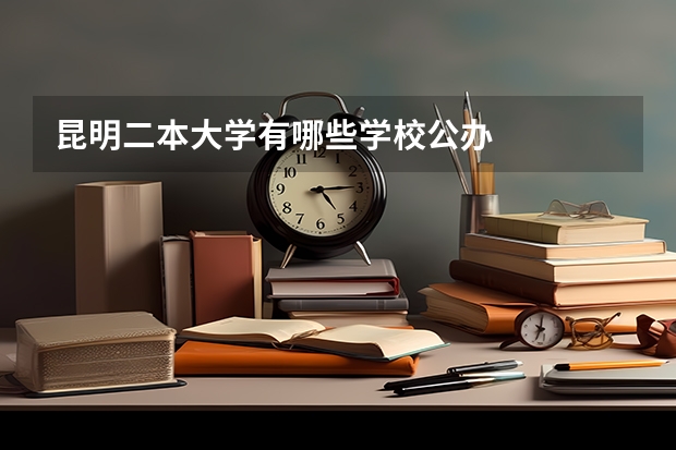 昆明二本大学有哪些学校公办