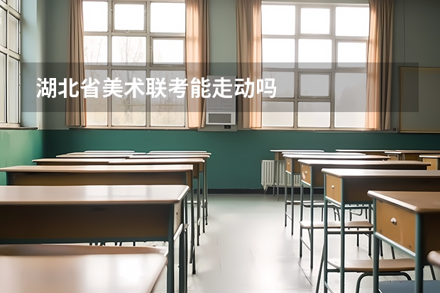 湖北省美术联考能走动吗