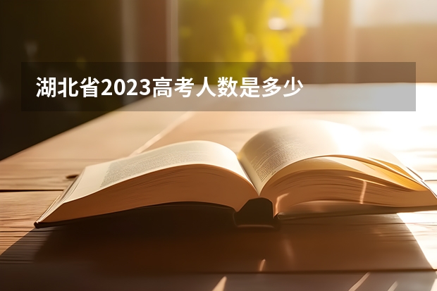 湖北省2023高考人数是多少