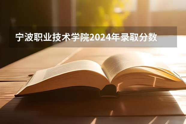 宁波职业技术学院2024年录取分数线汇总