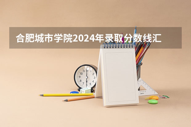 合肥城市学院2024年录取分数线汇总