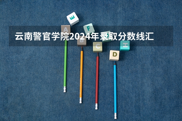 云南警官学院2024年录取分数线汇总