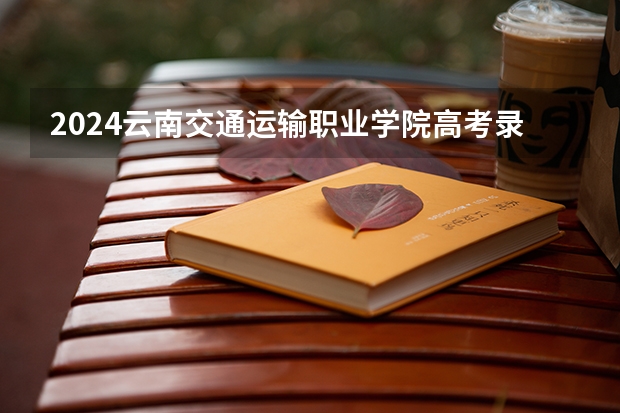 2024云南交通运输职业学院高考录取分数线是多少？