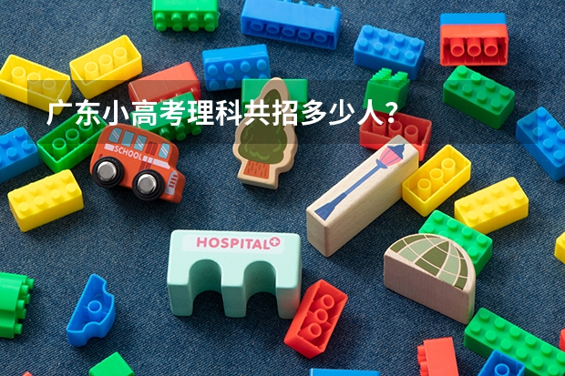 广东小高考理科共招多少人？