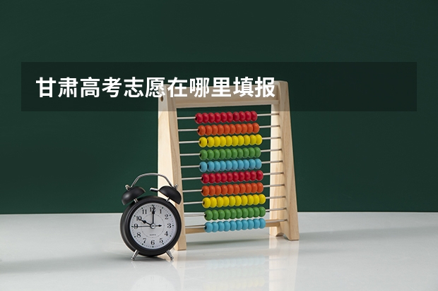 甘肃高考志愿在哪里填报