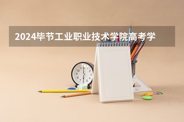 2024毕节工业职业技术学院高考学校录取分数线是多少？