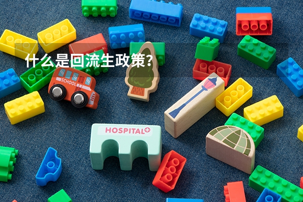 什么是回流生政策？