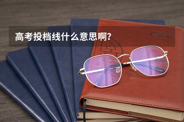 高考投档线什么意思啊？