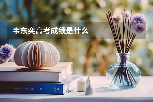 韦东奕高考成绩是什么